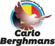 Carlo Berghmans Logo